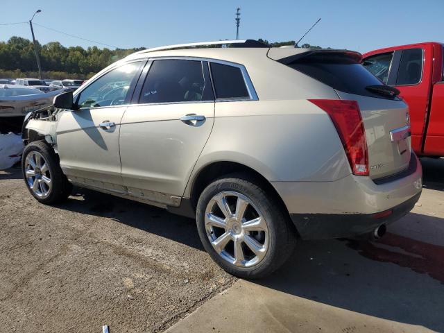 3GYFNCE34GS552453 - 2016 CADILLAC SRX PERFORMANCE COLLECTION Złoty zdjęcie 2