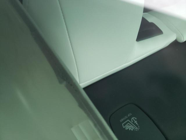 5YJ3E1EA7PF488767 - 2023 TESLA MODEL 3 WHITE photo 10