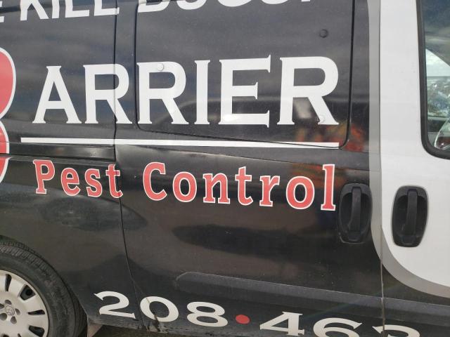 ZFBERFBT0G6B13997 - 2016 RAM PROMASTER SLT Blanc photo 11