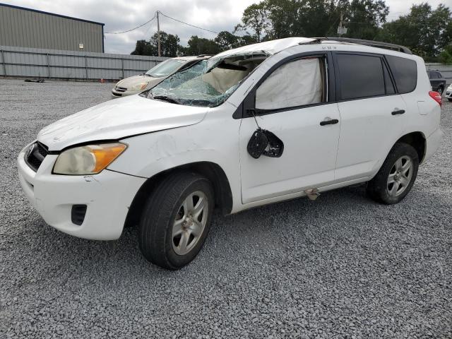 JTMZF4DV8AD019389 - 2010 TOYOTA RAV4 WHITE photo 1