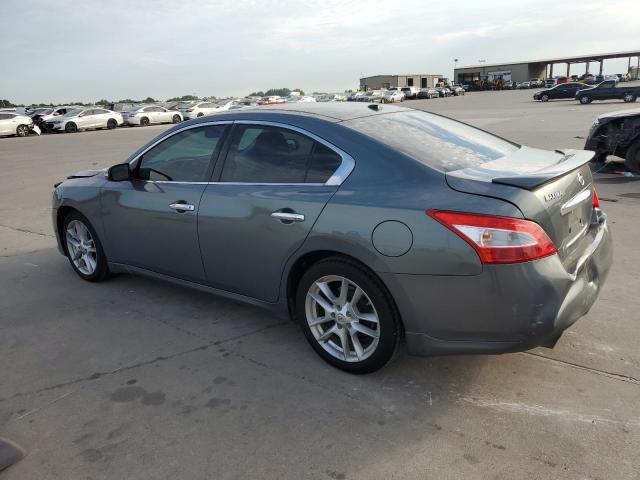 1N4AA5AP9AC804264 - 2010 NISSAN MAXIMA S GRAY photo 2