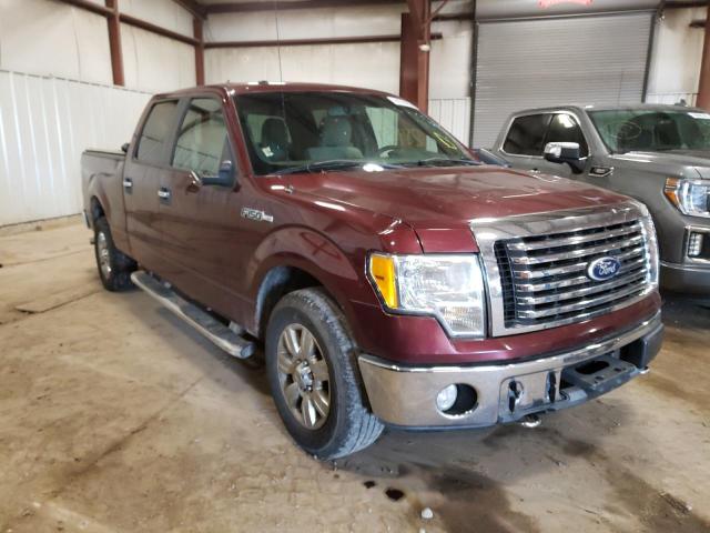 1FTFW1EV1AFD10661 - 2010 FORD F150 SUPERCREW BROWN photo 4