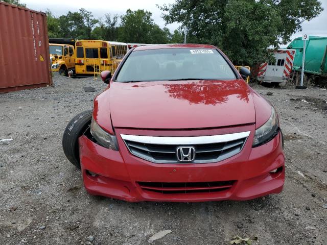 1HGCS2B85CA011226 - 2012 HONDA ACCORD EXL 红色 照片 5