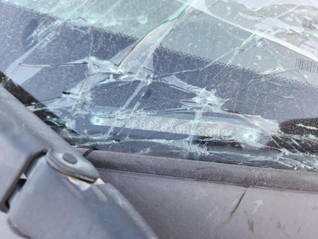 2HGFG126X9H539930 - 2009 HONDA CIVIC LX SILVER photo 13