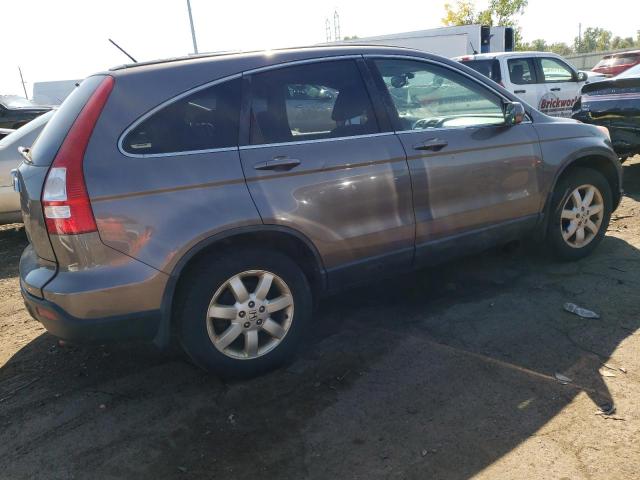 5J6RE48799L013952 - 2009 HONDA CR-V EXL GRAY photo 3