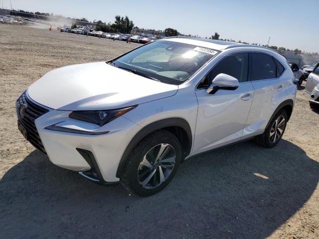 JTJBARBZ6K2191336 - 2019 LEXUS NX 300 BASE Ağ foto 1
