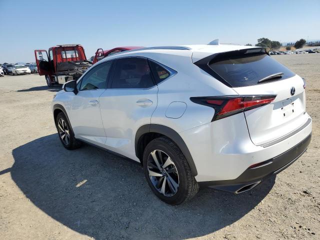 JTJBARBZ6K2191336 - 2019 LEXUS NX 300 BASE Ağ foto 2