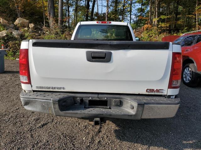 1GTEK14X69Z214738 - 2009 GMC SIERRA K1500 WHITE photo 6