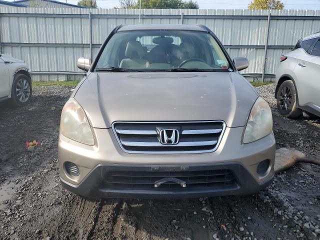 SHSRD78986U401242 - 2006 HONDA CR-V SE GOLD photo 5