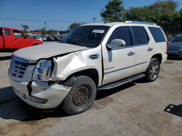 1GYFK63838R171674 - 2008 CADILLAC ESCALADE LUXURY WHITE photo 1