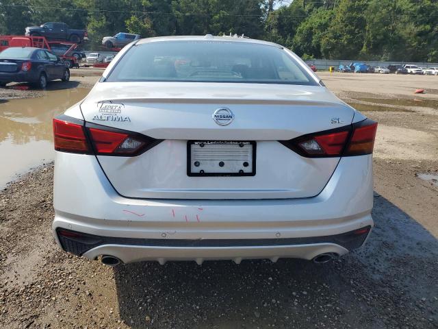 1N4BL4EV1KC193195 - 2019 NISSAN ALTIMA SL 银色 照片 6