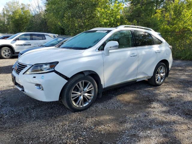 2013 LEXUS RX 350 BASE, 