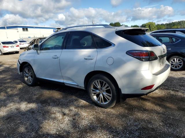 2T2BK1BA7DC162102 - 2013 LEXUS RX 350 BASE 白色 照片 2