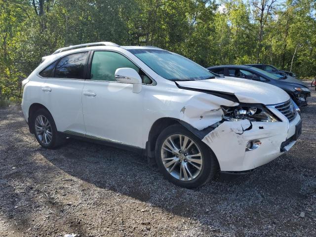 2T2BK1BA7DC162102 - 2013 LEXUS RX 350 BASE 白色 照片 4