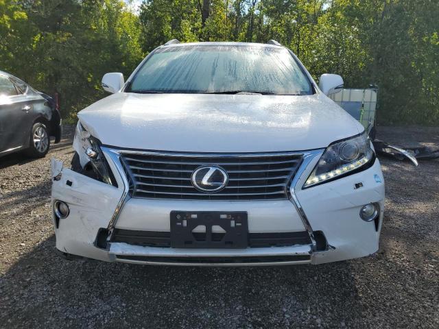 2T2BK1BA7DC162102 - 2013 LEXUS RX 350 BASE 白色 照片 5
