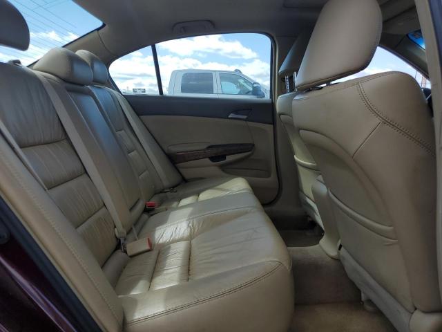 1HGCP26839A031494 - 2009 HONDA ACCORD EXL BURGUNDY photo 10