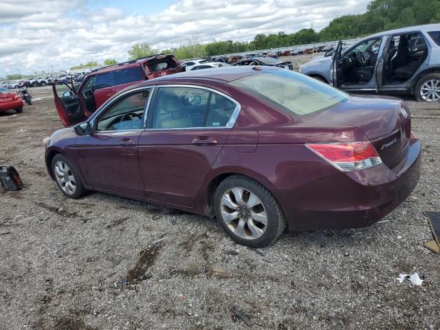 1HGCP26839A031494 - 2009 HONDA ACCORD EXL BURGUNDY photo 2