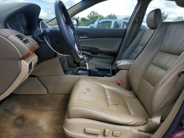 1HGCP26839A031494 - 2009 HONDA ACCORD EXL BURGUNDY photo 7