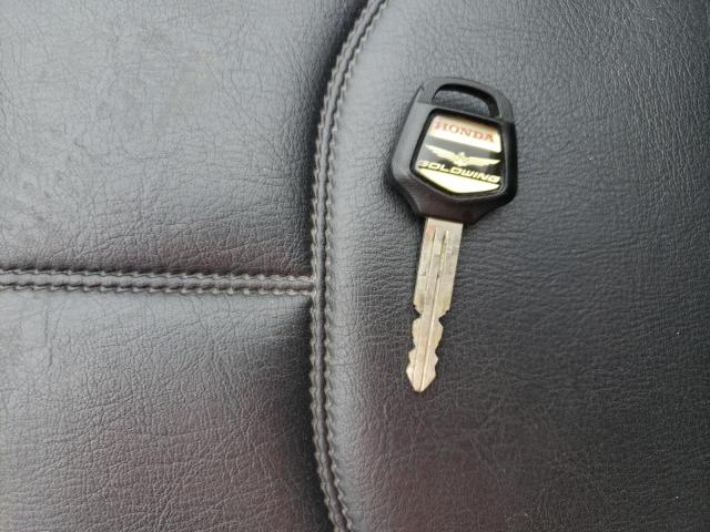 1HFSC47H66A504709 - 2006 HONDA GL1800 栗色 照片 8