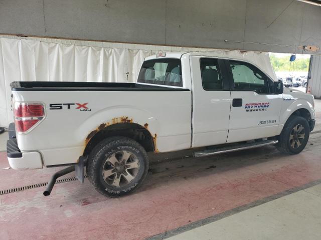 1FTFX1EF1DFD32363 - 2013 FORD F150 SUPER CAB WHITE photo 3