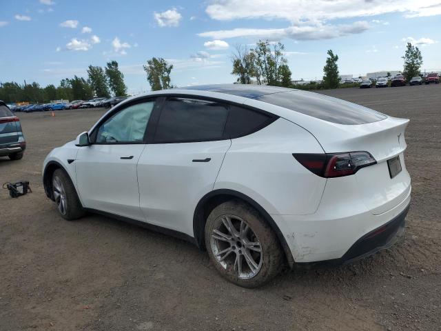 5YJYGDEE2LF026213 - 2020 TESLA MODEL Y WHITE photo 2