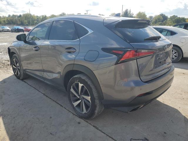 JTJBARBZ0J2153275 - 2018 LEXUS NX 300 BASE Boz foto 2