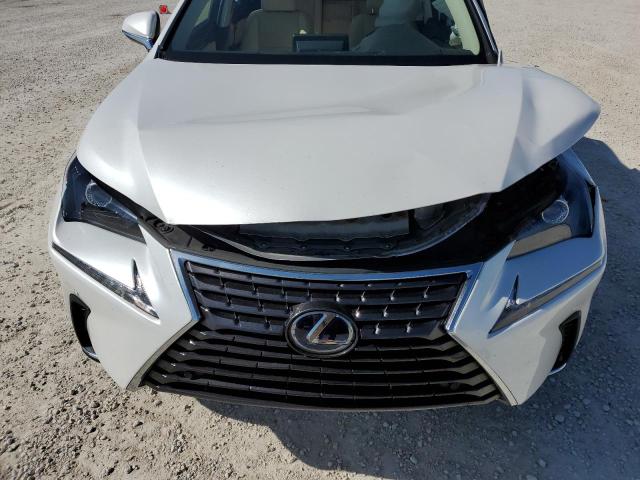 JTJDJRDZ2L2145767 - 2020 LEXUS NX 300H WHITE photo 12