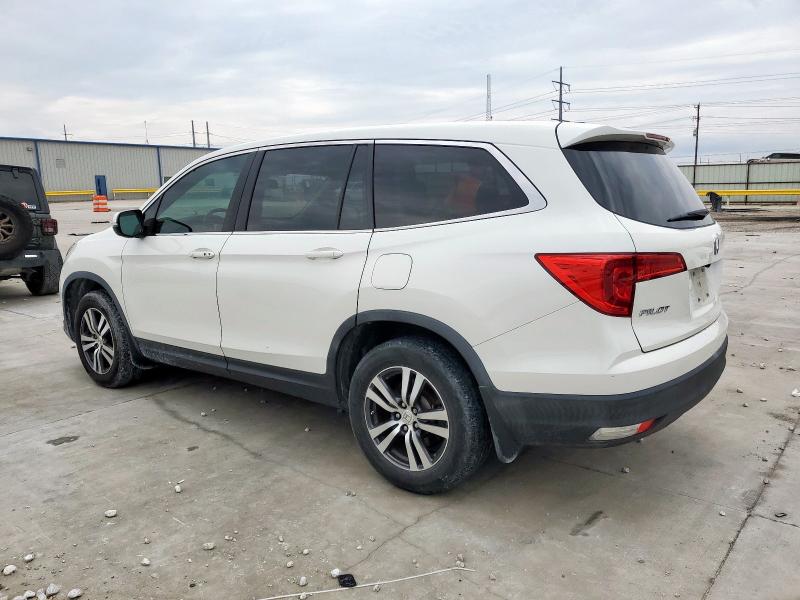 5FNYF5H51JB005564 - 2018 HONDA PILOT EXL 白色 照片 2