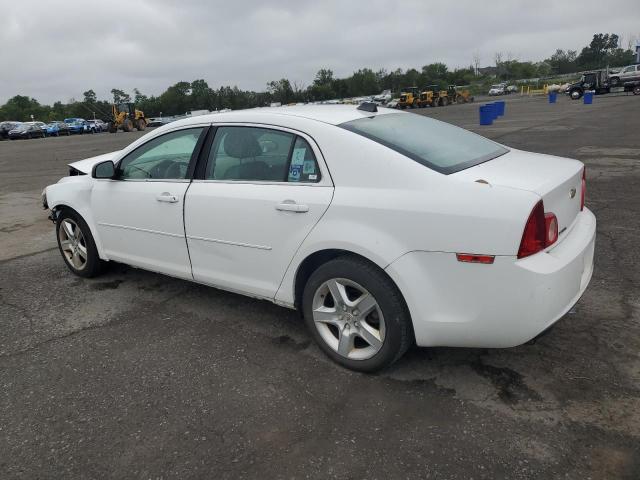 1G1ZA5E05CF385446 - 2012 CHEVROLET MALIBU LS Biały zdjęcie 2