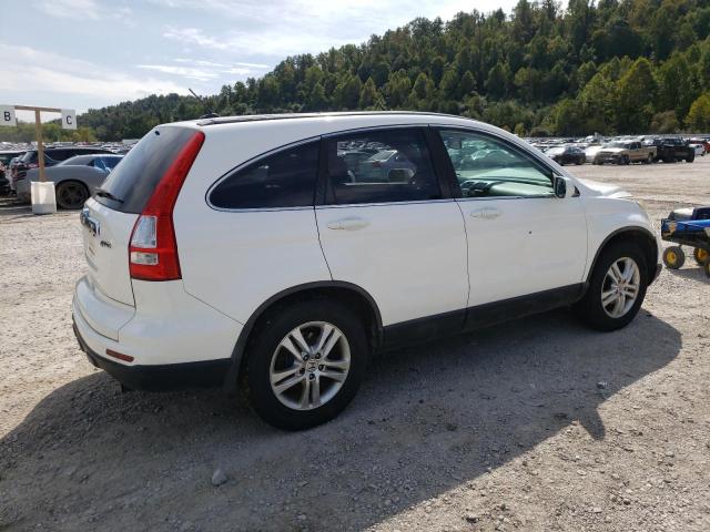 5J6RE4H74BL068816 - 2011 HONDA CR-V EXL WHITE photo 3