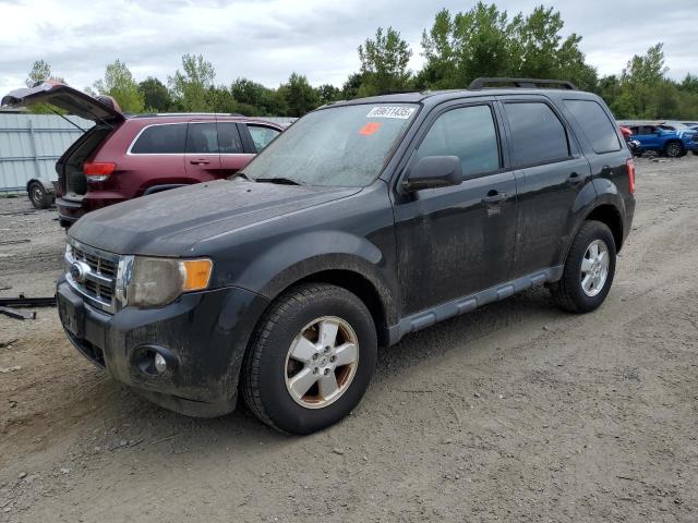 2012 FORD ESCAPE XLT, 