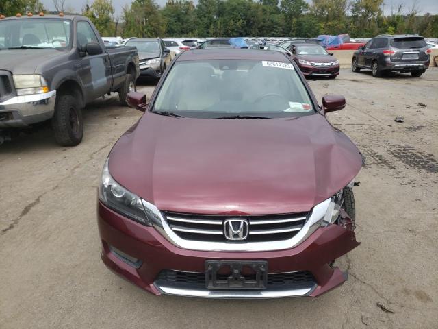 1HGCR3F82FA018599 - 2015 HONDA ACCORD EXL BURGUNDY photo 5