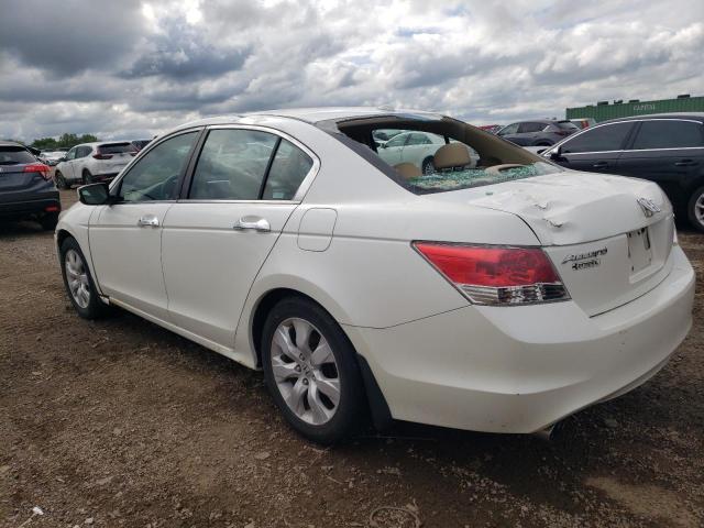 1HGCP36889A011215 - 2009 HONDA ACCORD EXL WHITE photo 2