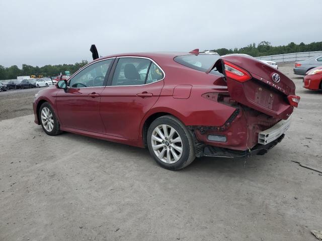 4T1B11HK7KU744462 - 2019 TOYOTA CAMRY L RED photo 2