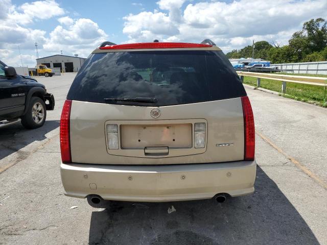1GYEE637870150008 - 2007 CADILLAC SRX 奶油色 照片 6