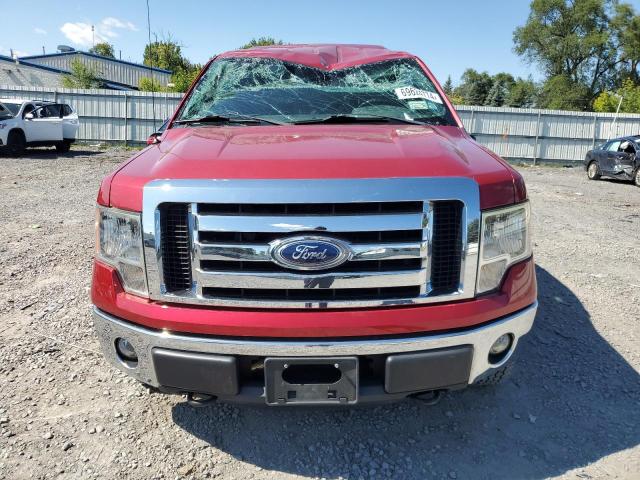 1FTMF1EMXCKD28410 - 2012 FORD F150 Կարմիր լուսանկար 5