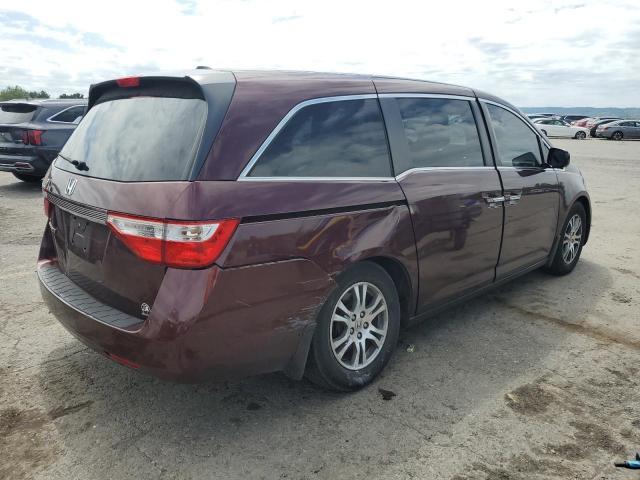 5FNRL5H69BB090418 - 2011 HONDA ODYSSEY EXL Bordo foto 3