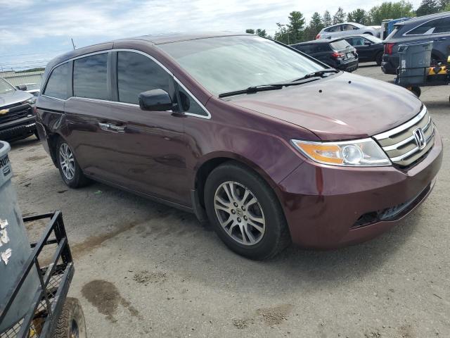 5FNRL5H69BB090418 - 2011 HONDA ODYSSEY EXL Bordo foto 4