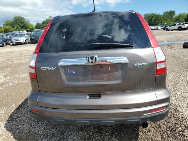 5J6RE4H76BL075492 - 2011 HONDA CR-V EXL BROWN photo 6