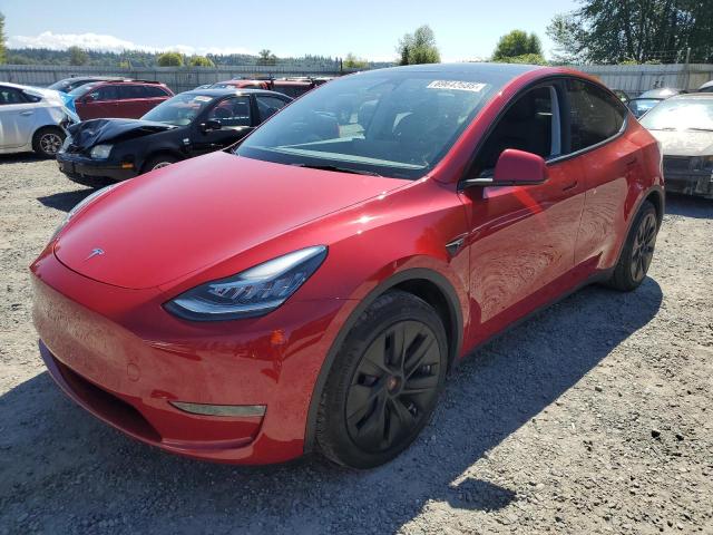 2023 TESLA MODEL Y, 