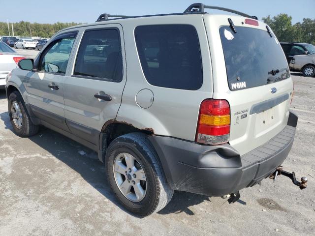 1FMYU03156KA85910 - 2006 FORD ESCAPE XLT GOLD photo 2