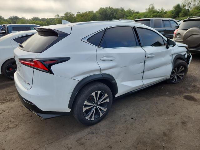 JTJBARBZ5K2207767 - 2019 LEXUS NX 300 BASE Blanc photo 3