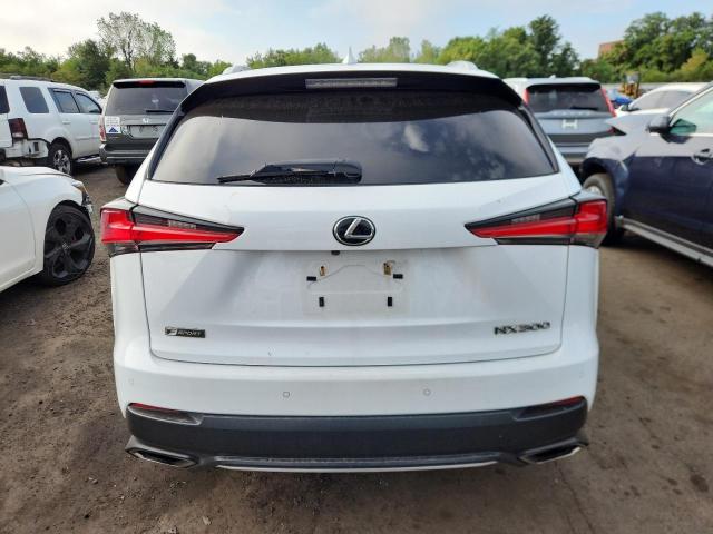 JTJBARBZ5K2207767 - 2019 LEXUS NX 300 BASE Blanc photo 6