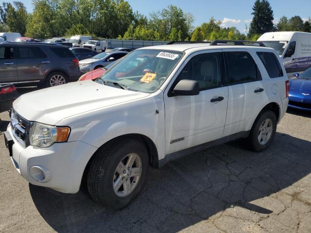 2008 FORD ESCAPE HEV, 
