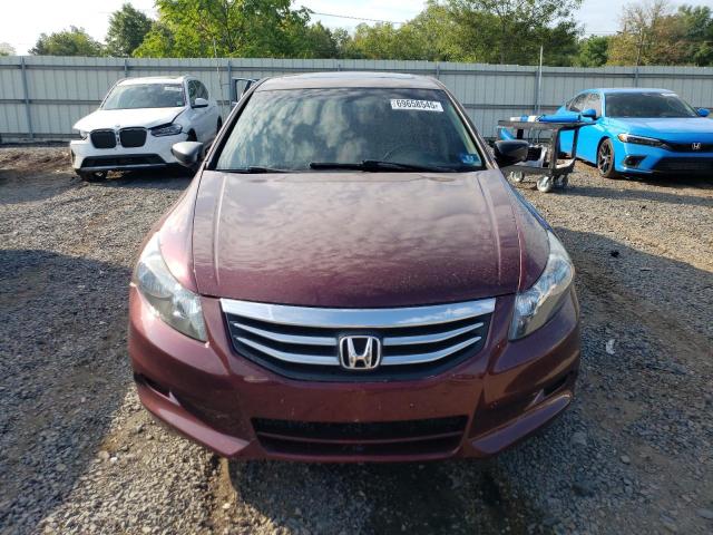 1HGCP3F88CA039071 - 2012 HONDA ACCORD EXL 红色 照片 5