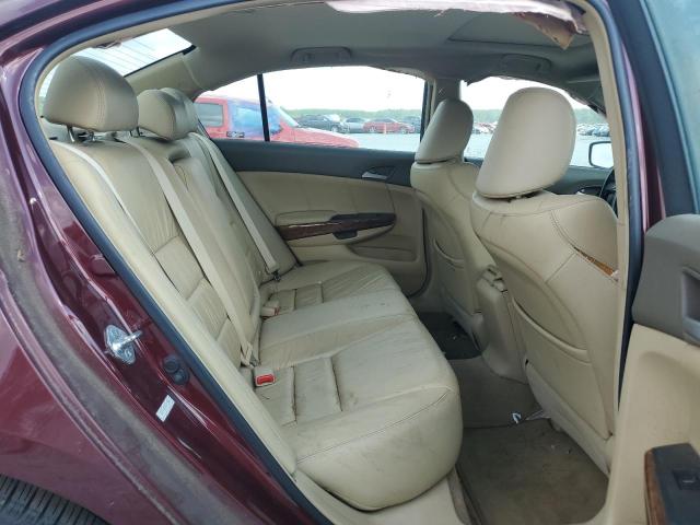 1HGCP26879A136586 - 2009 HONDA ACCORD EXL BURGUNDY photo 10