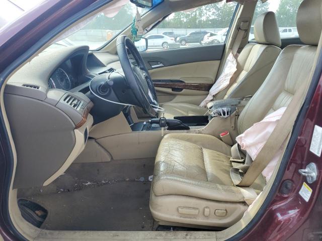 1HGCP26879A136586 - 2009 HONDA ACCORD EXL BURGUNDY photo 7