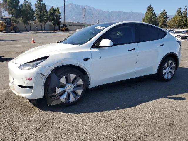 2024 TESLA MODEL Y, 