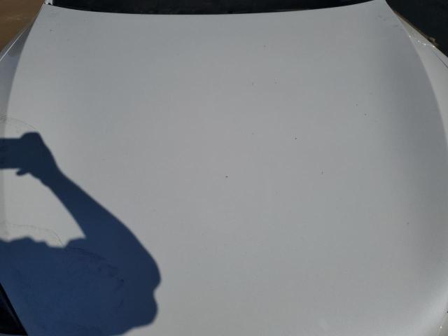 5YJSA1E57PF500748 - 2023 TESLA MODEL S Սպիտակ լուսանկար 11