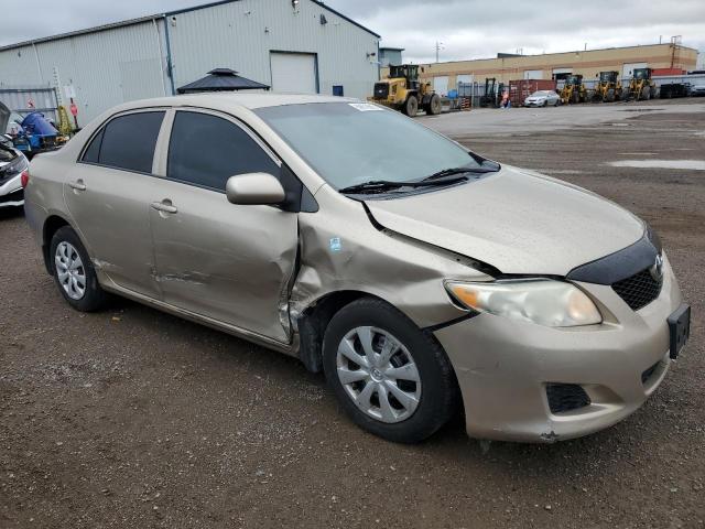 2T1BU4EE5AC219956 - 2010 TOYOTA COROLLA BASE GOLD photo 4